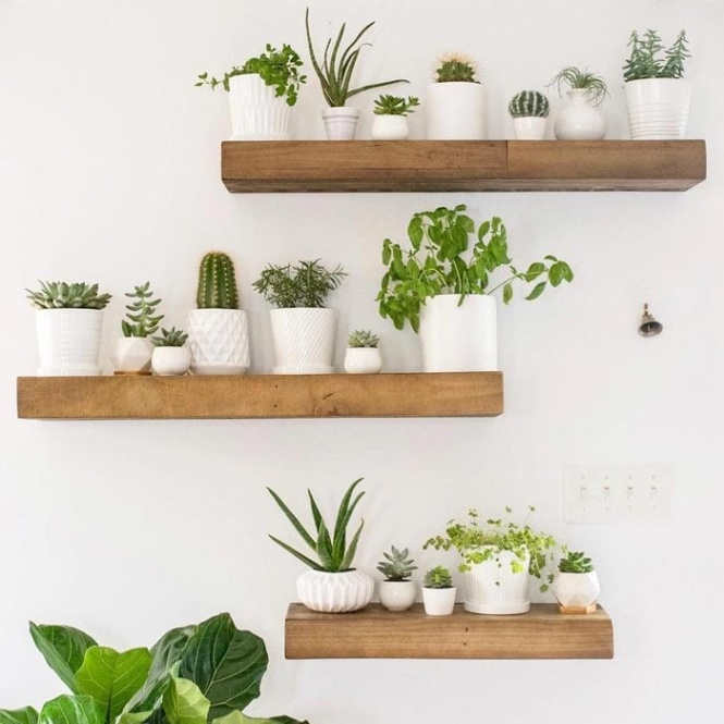 Niche Utama 2  Ideas For Decorating Your Walls With Plants